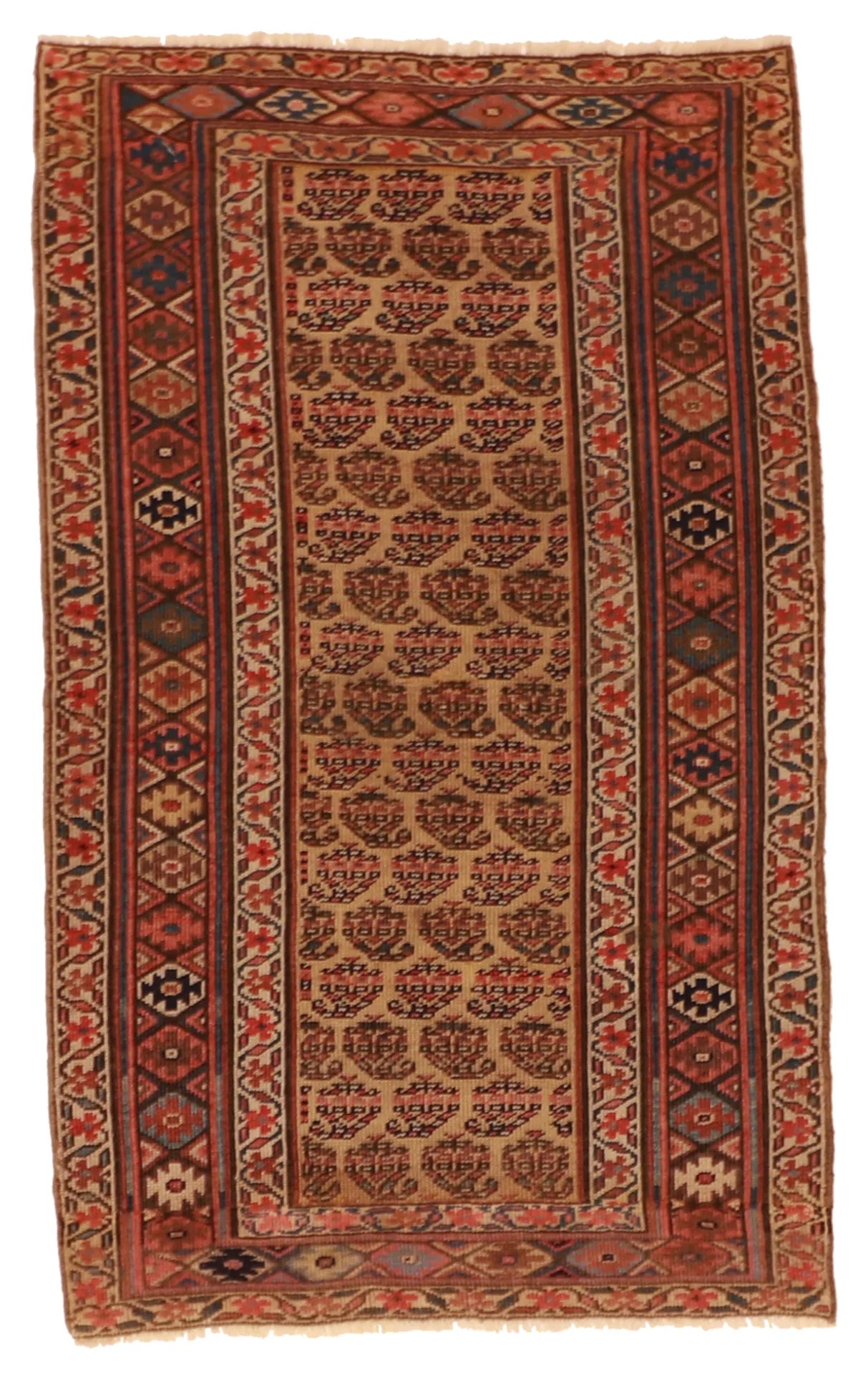 3.1 x 5 - Kurdish Wool Geometric Rectangle - Finest Hand-Knotted Quality Wool — 23509