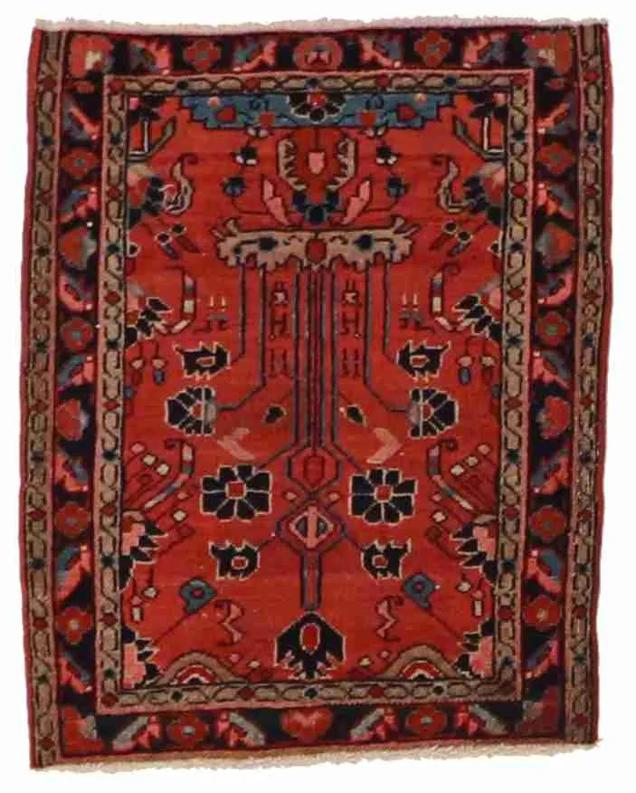 1.70 x 2 - Sarug Wool All Over Square - Finest Hand-Knotted Quality Wool — 24885