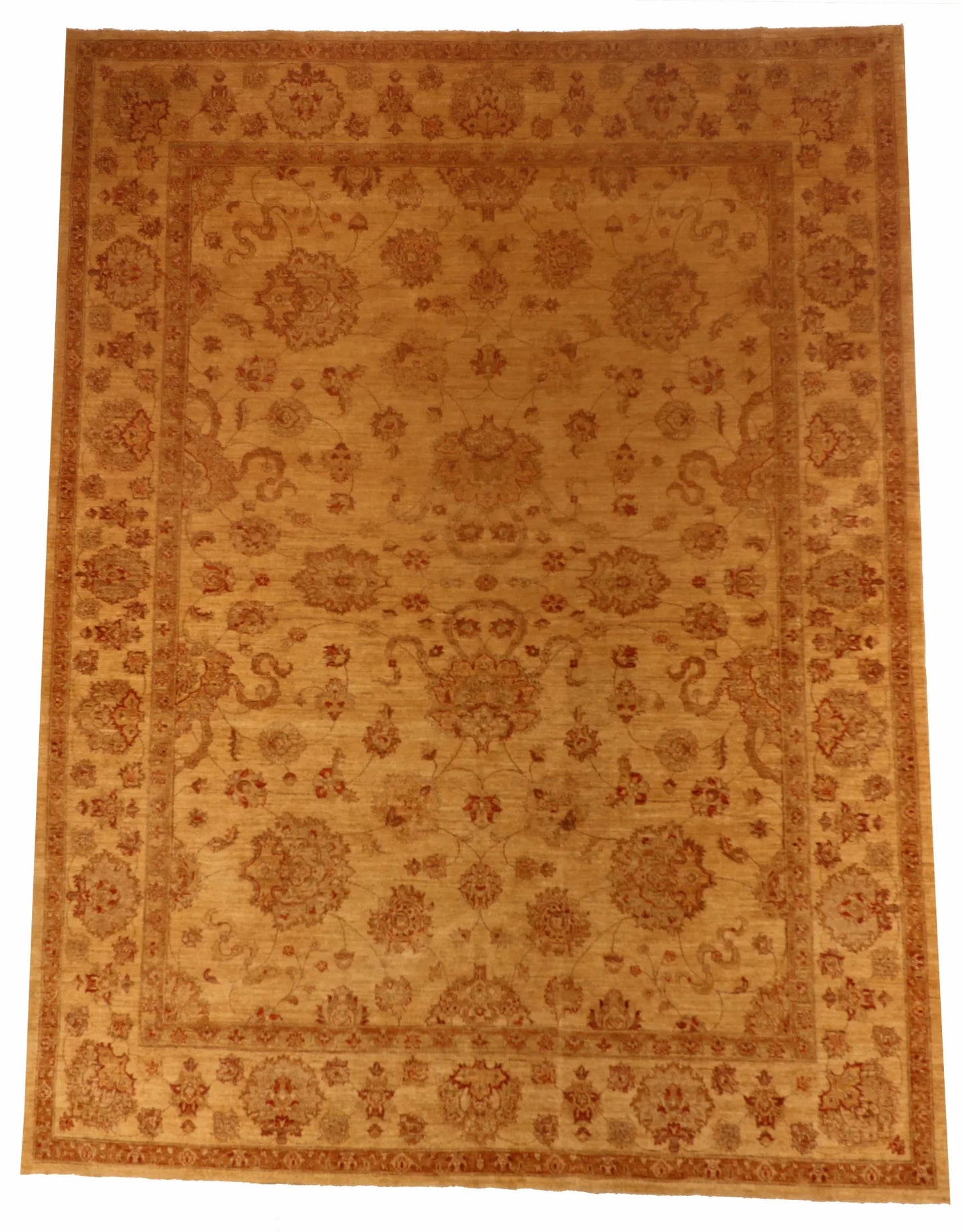 10 x 13.3 - Agra Fine/Wool All Over Rectangle - Finest Hand-Knotted Quality Wool — 54942