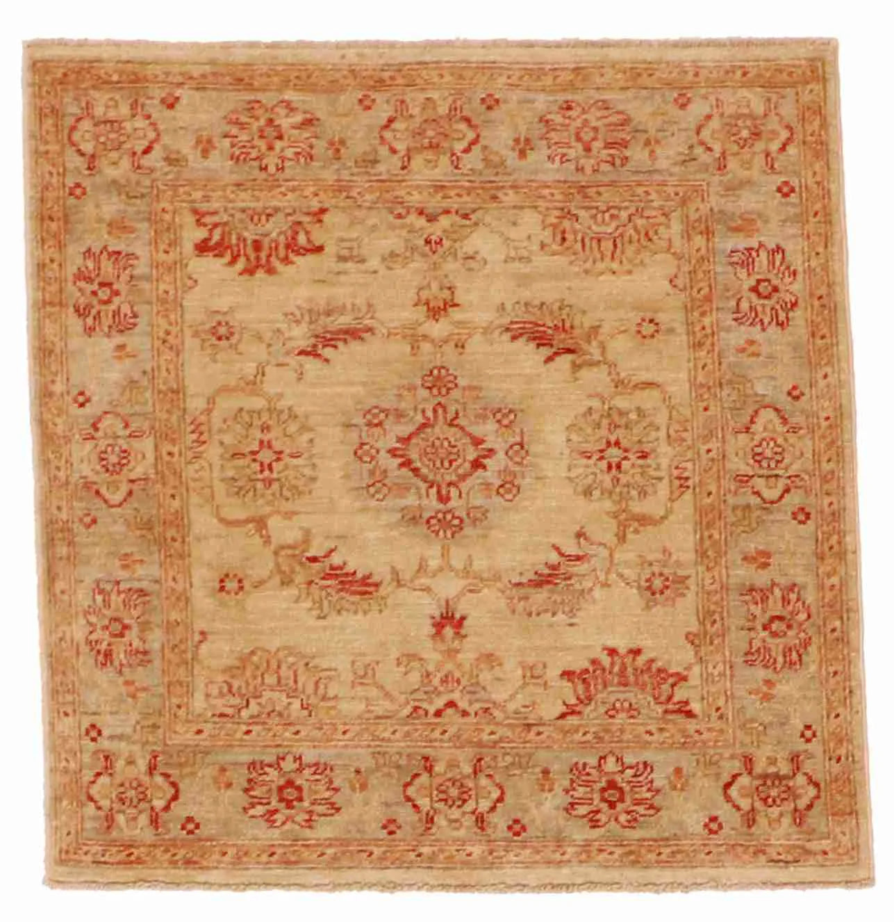 3 x 3 - Agra Wool All Over Square - Finest Hand-Knotted Quality Wool — 56134