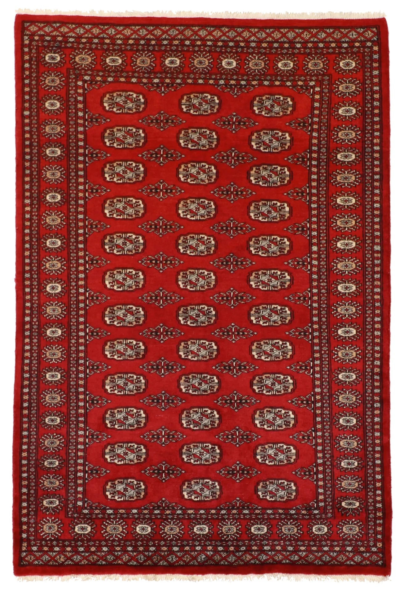 4.1 x 6 - Bokhara Wool Traditional Rectangle - Finest Hand-Knotted Quality Wool — 61221