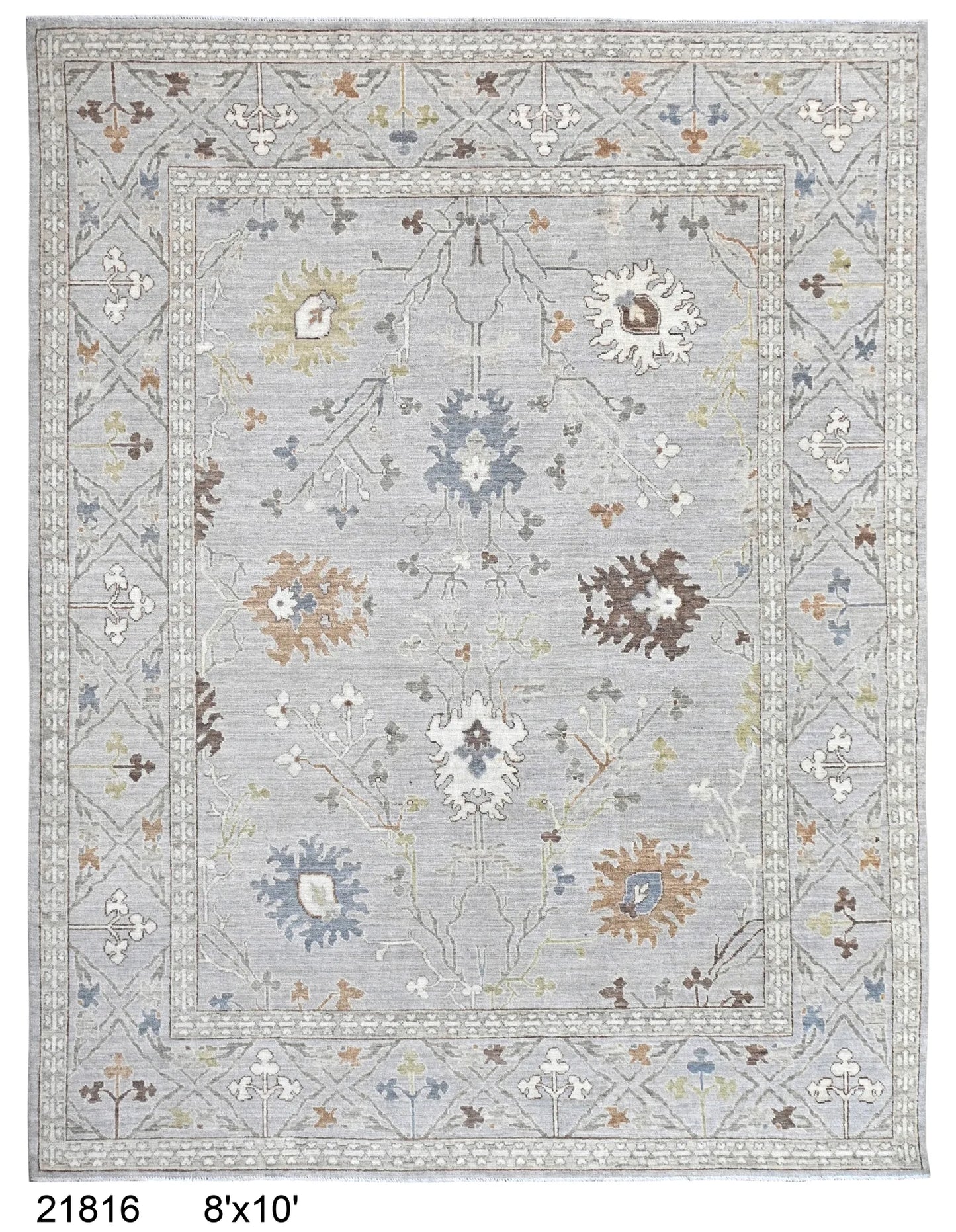 8 x 10 - Oushac Wool Transitional Rectangle - Finest Hand-Knotted Quality Wool — 66013