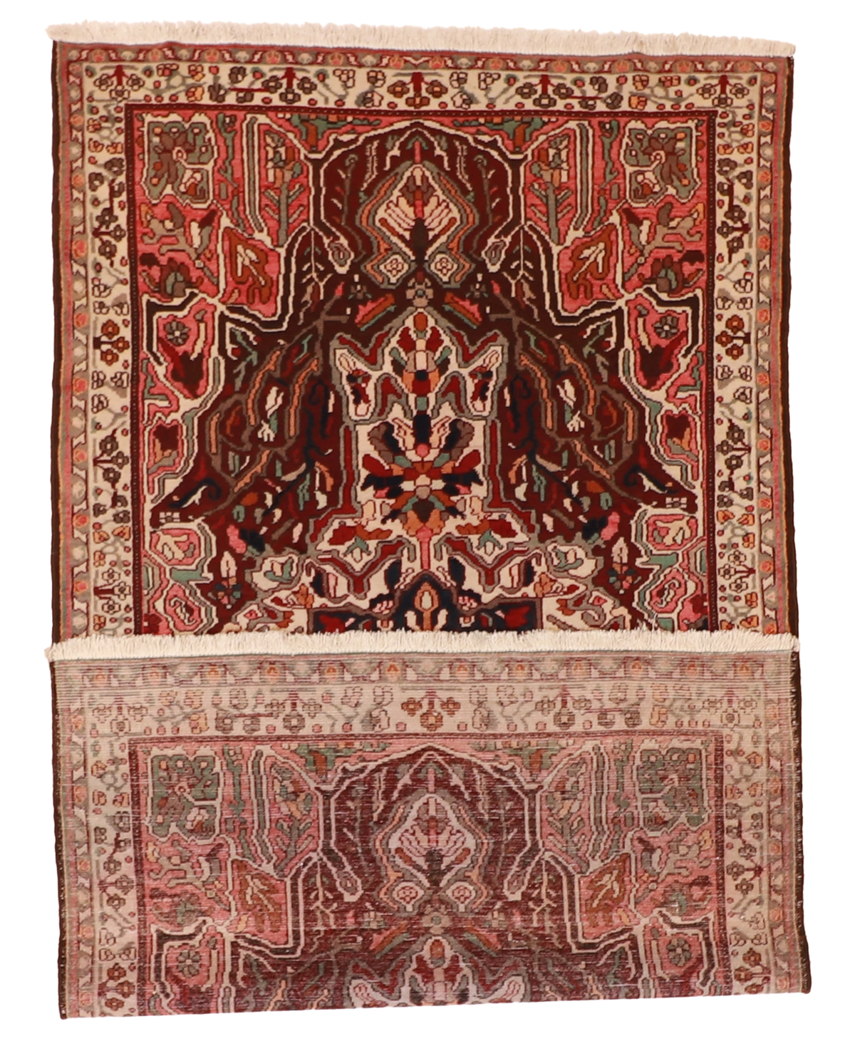 W 5.3 L 9.6 Bakhtiarie 100% Wool Hand-Woven All-Over Design - 15659