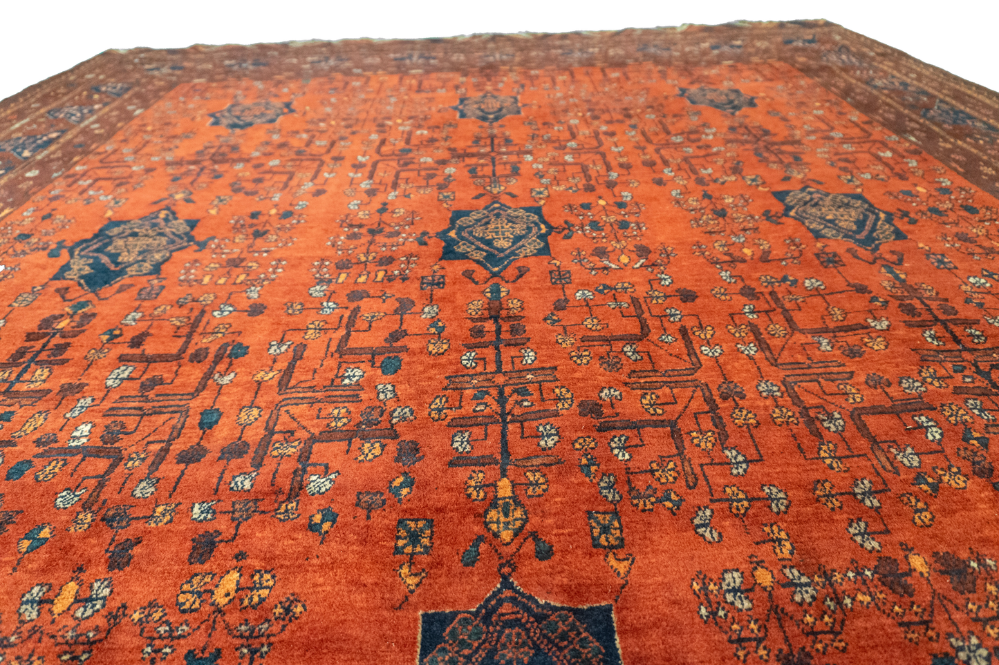 W 6.11 L 9.5 Turkaman 100% Wool Handmade All Over Design - 20788