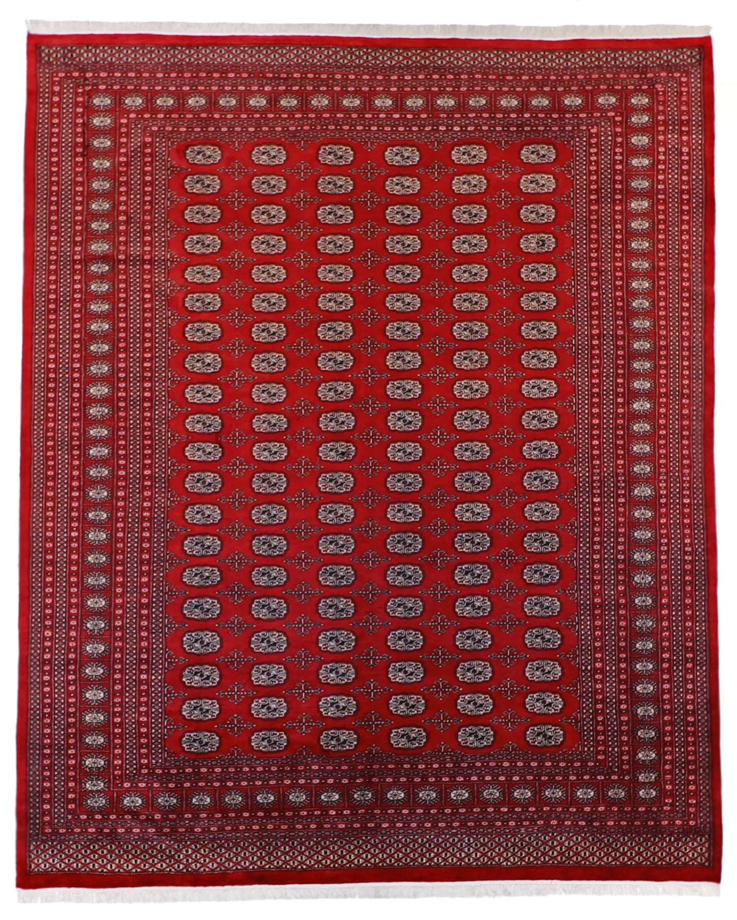 8.2 x 9.1 - Bokhara Wool Traditional Rectangle - Finest Hand-Knotted Quality Wool — 21858