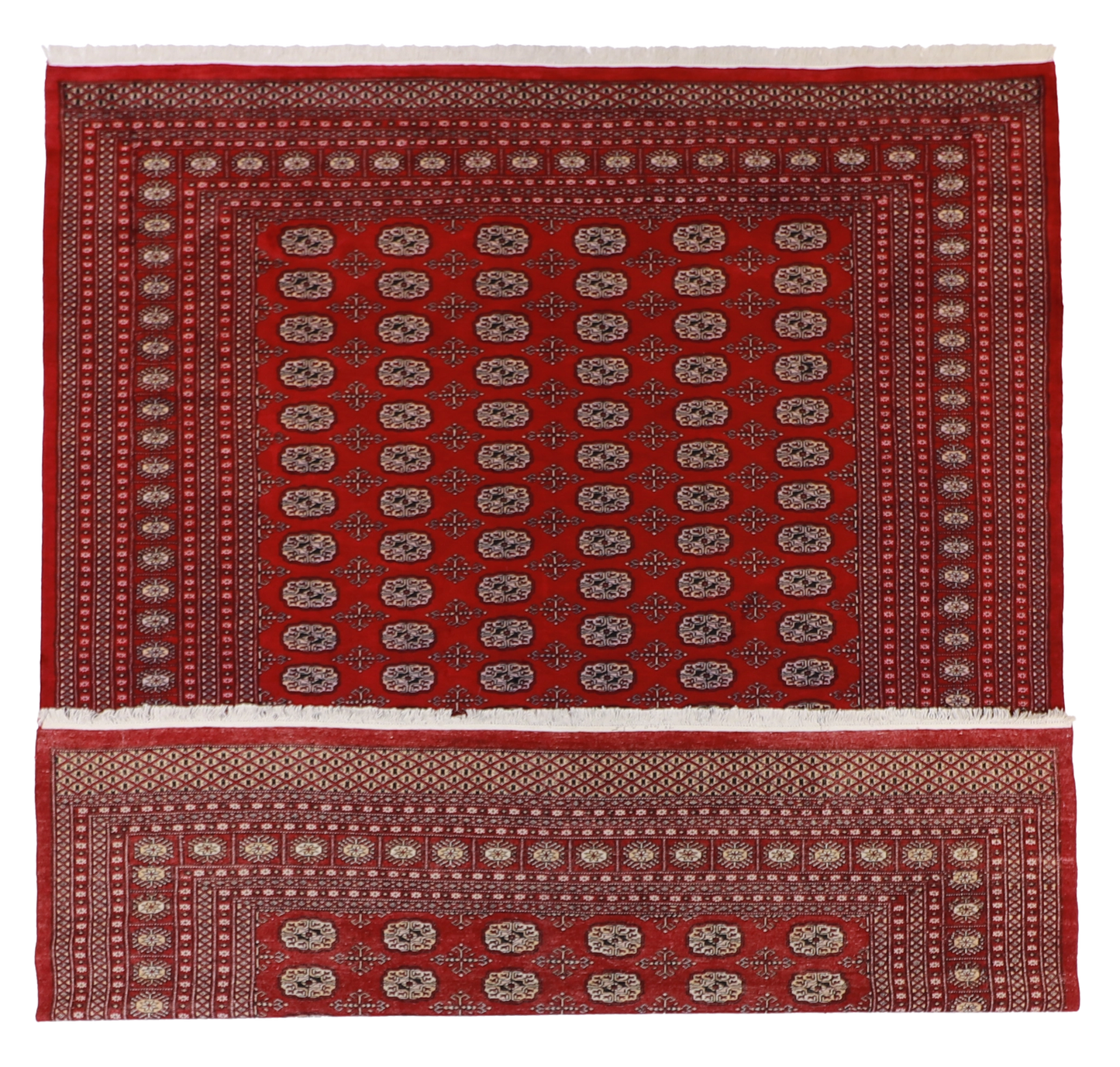 W 8.2 - L 9.1 - Bokhara Wool Traditional Rectangle - Finest Hand-Knotted Quality Wool - 21858