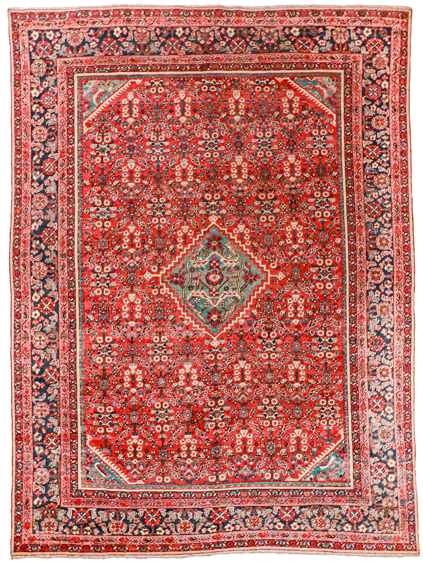 W 8.10 - L 11.11 - Ziegler Fine All Over Rectangle - Finest Hand-Knotted Quality Wool - 23237