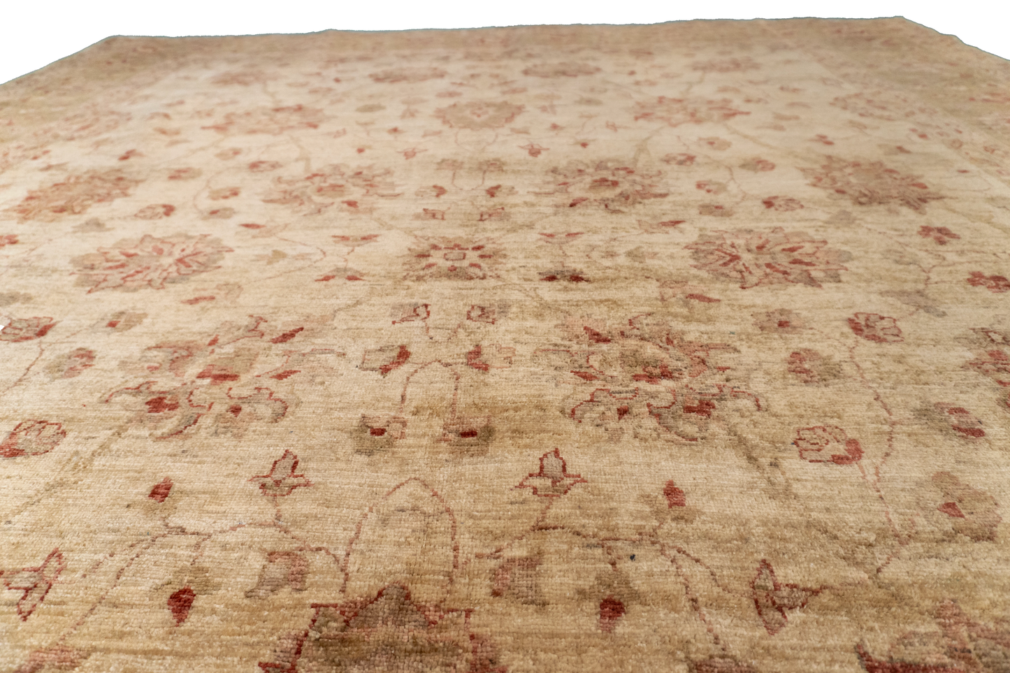 W 8 L 10.1 Haj Jalili 100% Wool Hand-Woven All-Over Design - 52473