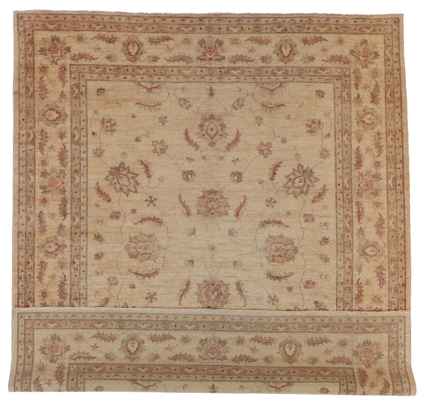W 8.2 L 9.8 Ziegler Mahal 100% Wool Hand-Woven All-Over Design - 52533