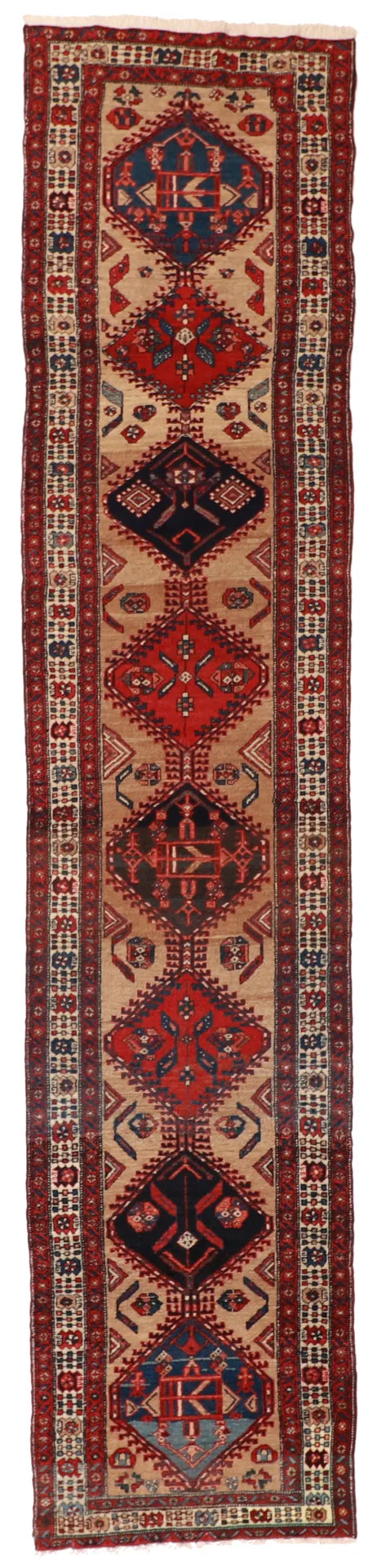 3 x 14 - Sarab Fine/Wool Geometric Rectangle - Hand Woven Rug — 53148