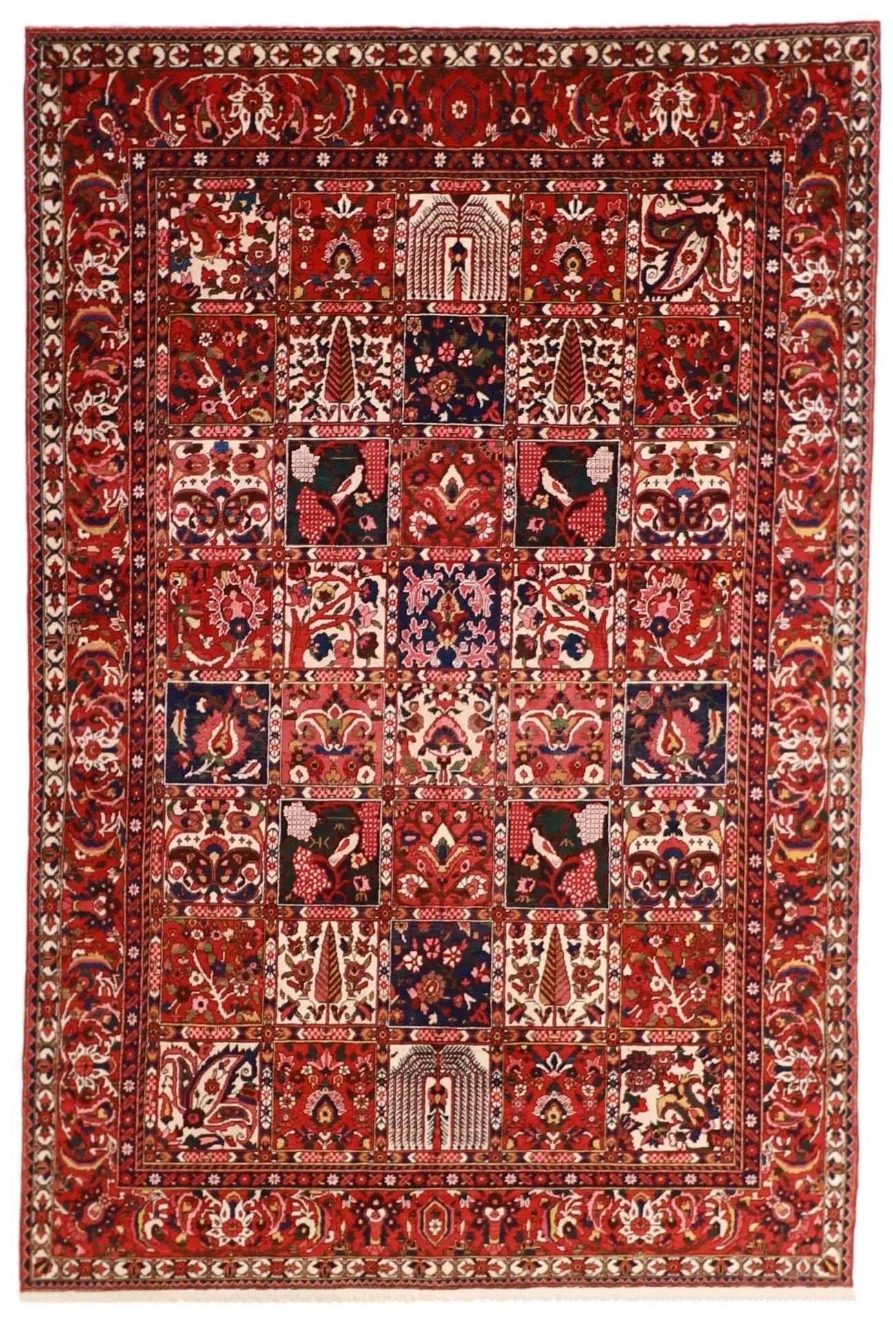 7x10 - Bakhtiarie Fine All Over Rectangle - Hand Knotted Rug — 55068