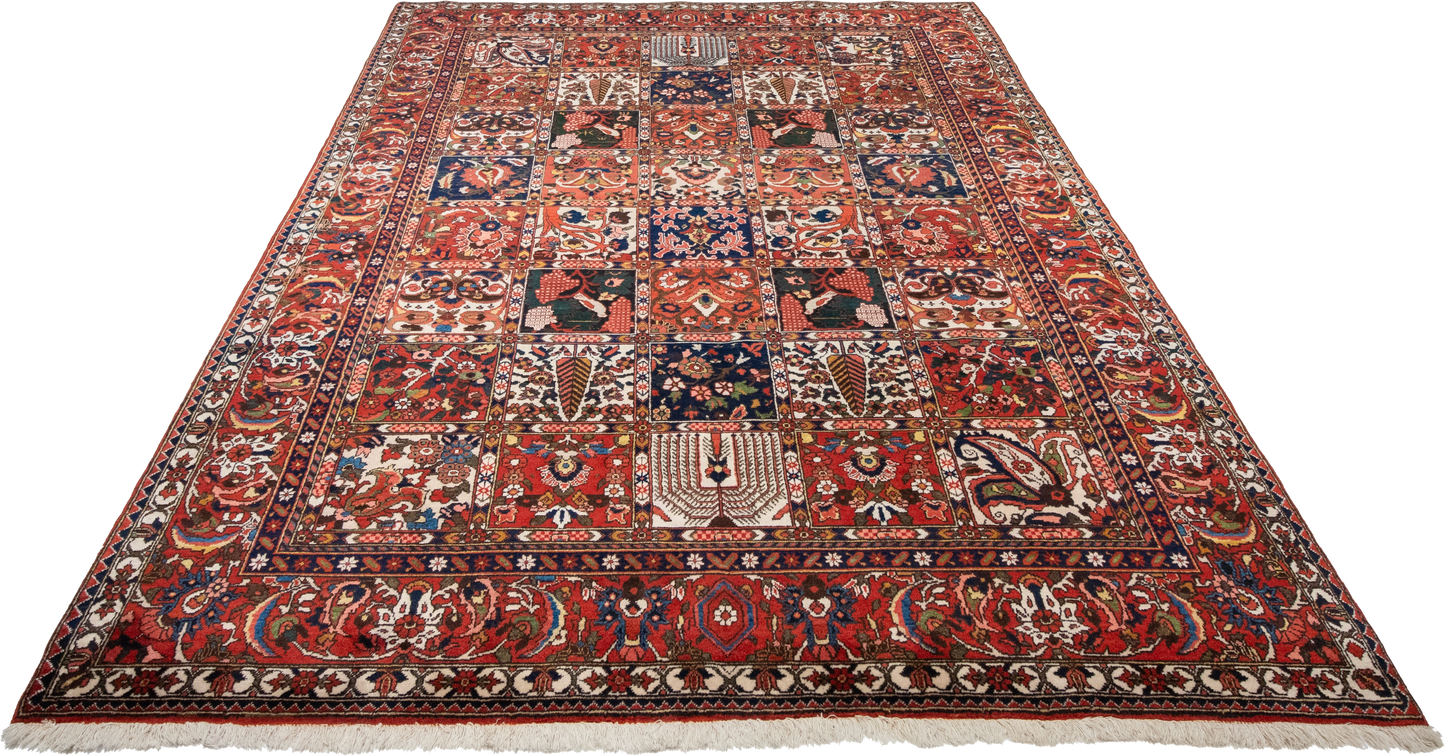 W 6.9 L 10 Bakhtiarie 100% Wool Hand-Woven All-Over Design - 55068
