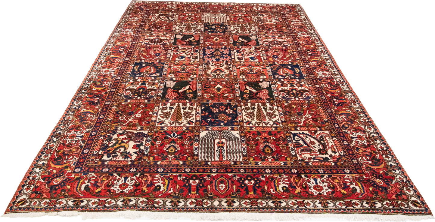 W 6.9 L 10 Bakhtiarie 100% Wool Hand-Woven All-Over Design - 55068