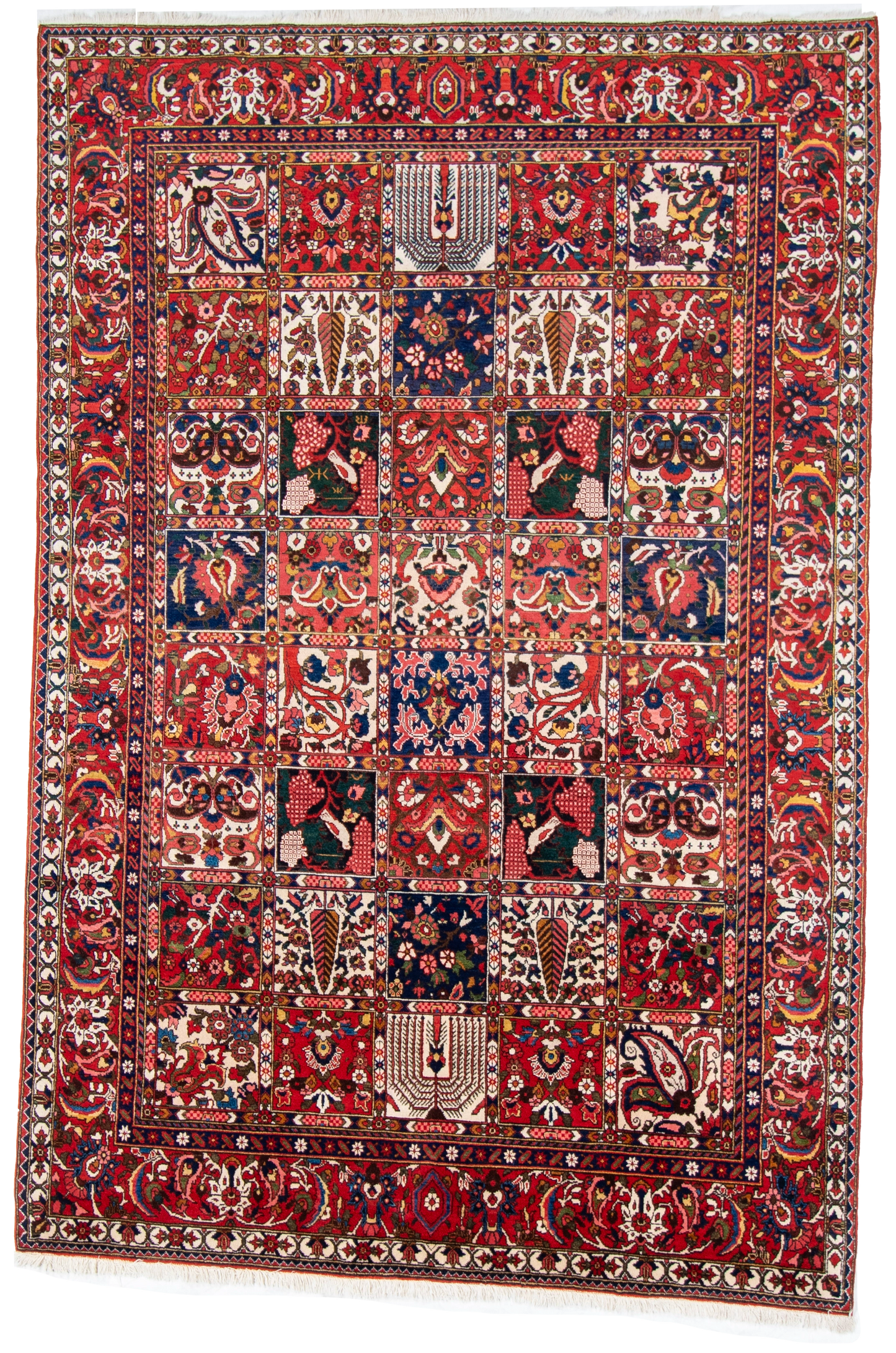 W 6.9 L 10 Bakhtiarie 100% Wool Hand-Woven All-Over Design - 55068