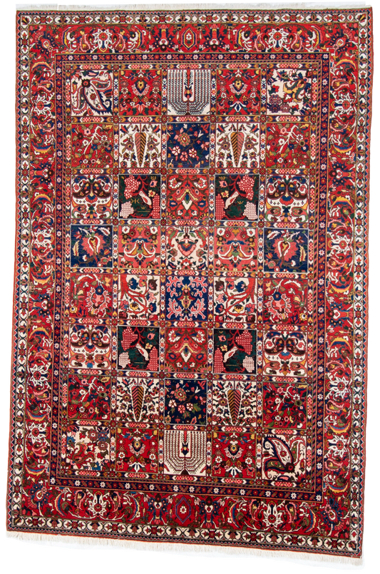 W 6.9 L 10 Bakhtiarie 100% Wool Hand-Woven All-Over Design - 55068