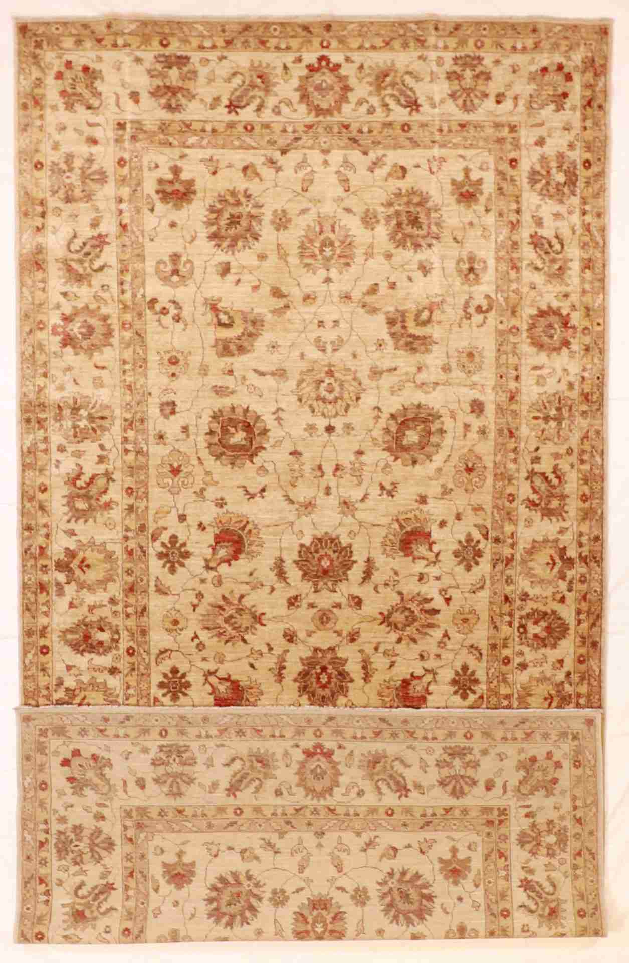 W 6.3 - L 12.11 - Agra Fine All Over Rectangle - Finest Hand-Knotted Quality Wool - 55458