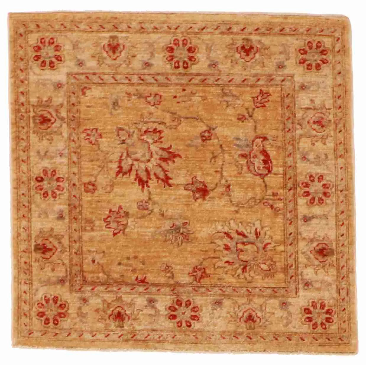 3 x 2.11 - Agra Wool All Over Square - Finest Hand-Knotted Quality Wool — 56138