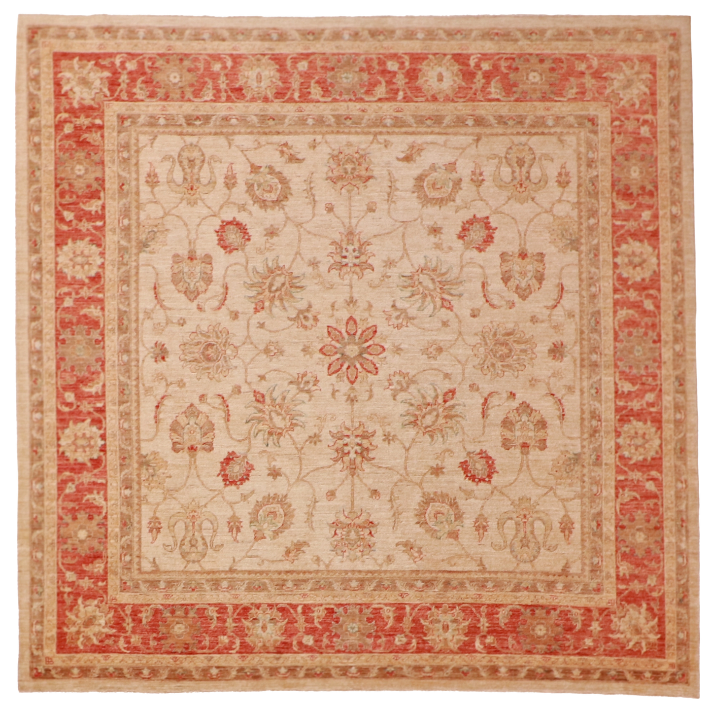 W 8.2 L 8.2 Mahal 100% Wool Hand-Woven All-Over Design - 56537