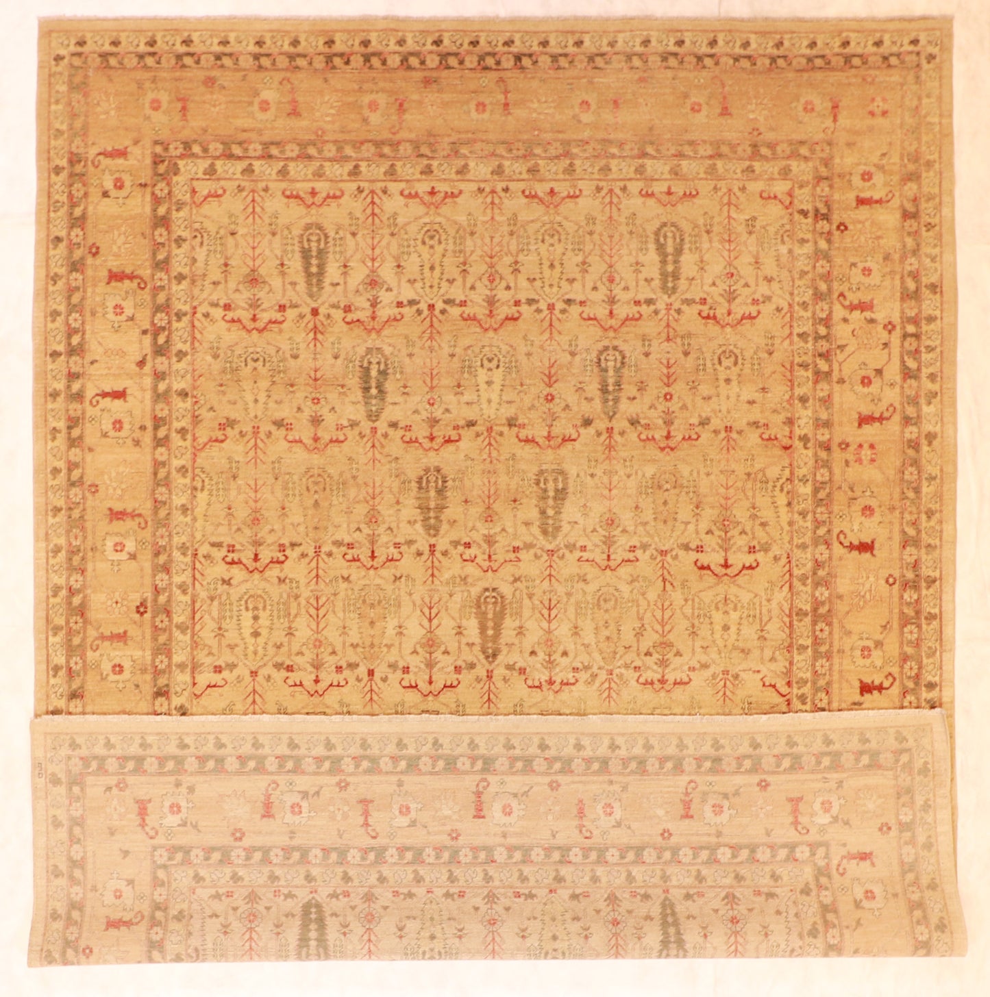 W 9 - L 11.10 - Malayer Fine All Over Rectangle - Hand Woven Rug - 56846
