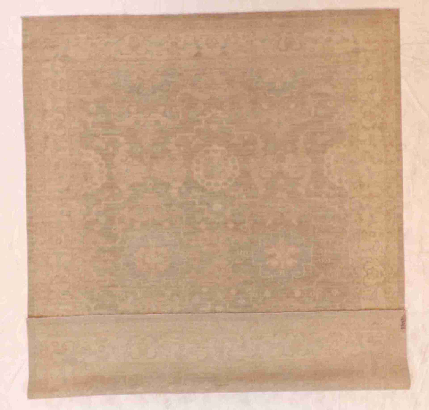 W 8 - L 9.8 - Mashad Wool Transitional Rectangle - Finest Hand-Knotted Quality Wool - 60381