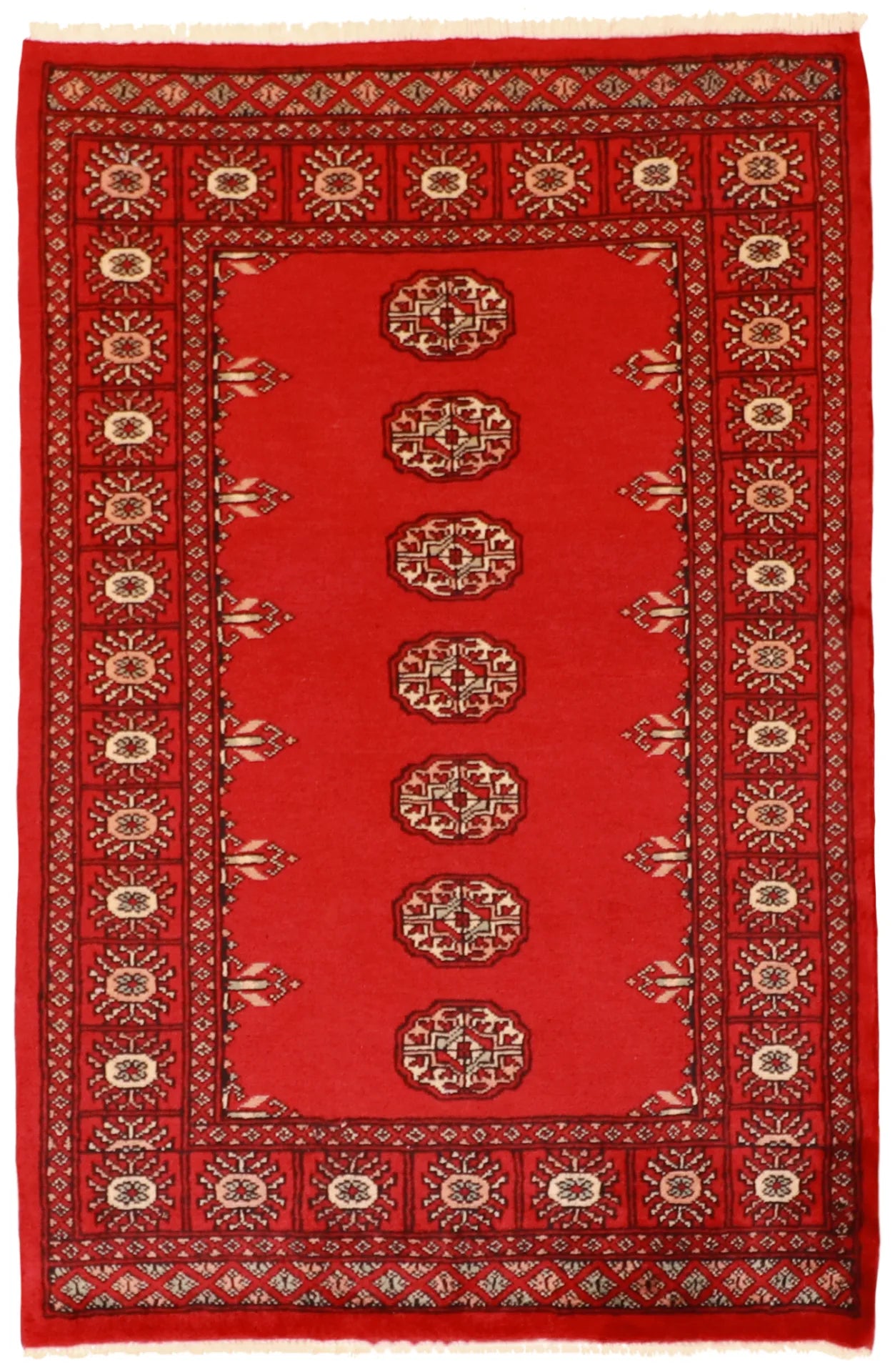 W 3.3 - L 5 - Bokhara Wool All Over Rectangle - Finest Hand-Knotted Quality Wool - 61215