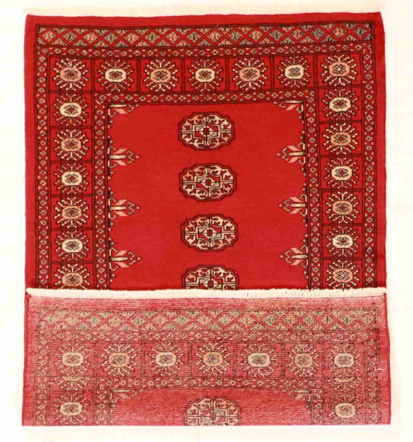 W 3.3 - L 5 - Bokhara Wool All Over Rectangle - Finest Hand-Knotted Quality Wool - 61215