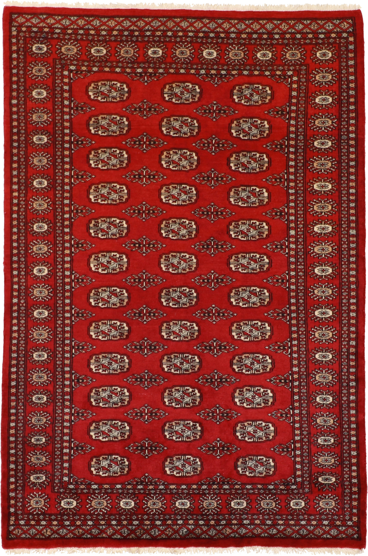 W 4.1 - L 6 Bokhara 100% Wool Hand-Woven Geometric Design - 61221