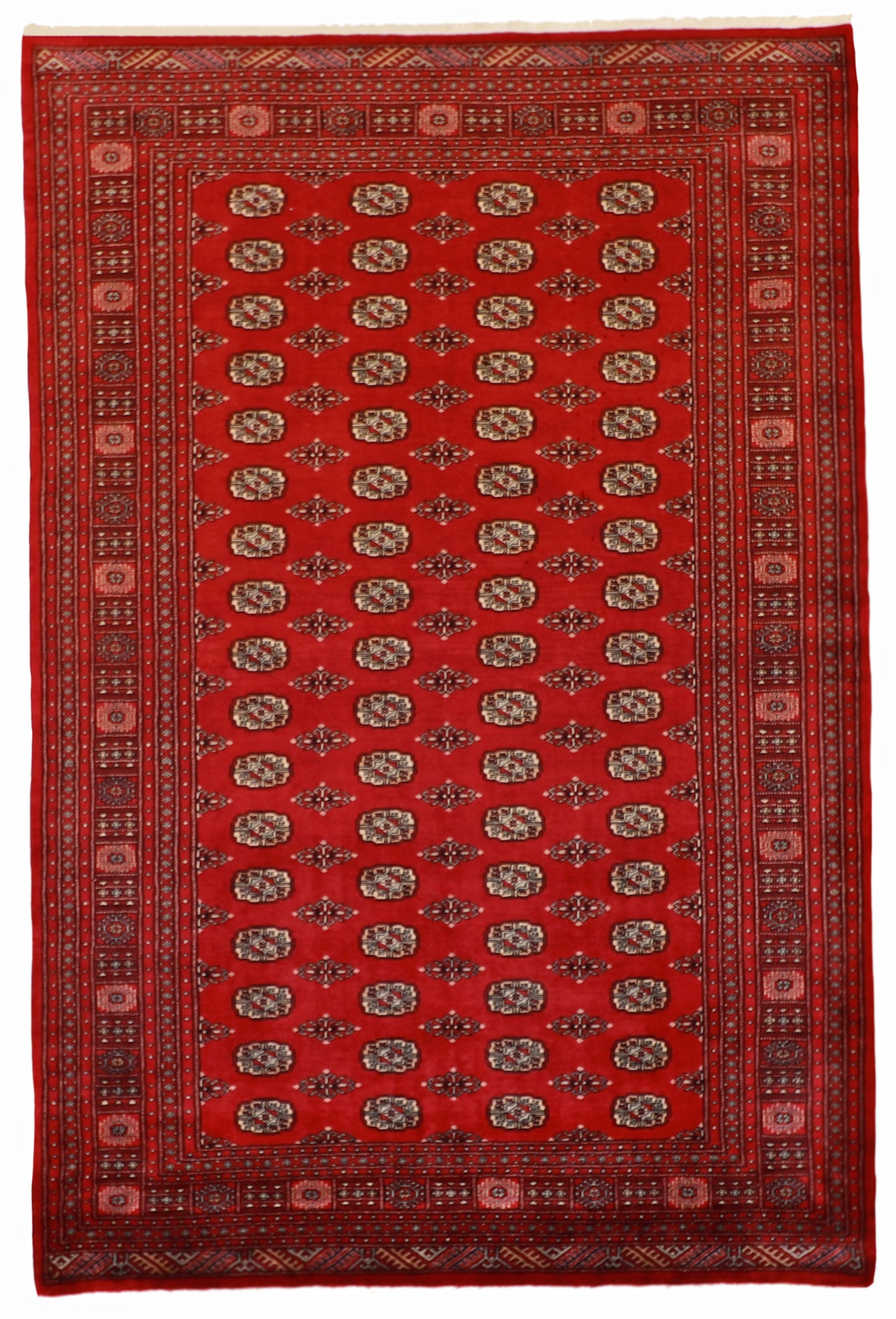 W 6.6 L 9.6 Bokhara 100% Wool Handmade All Over Design - 61263