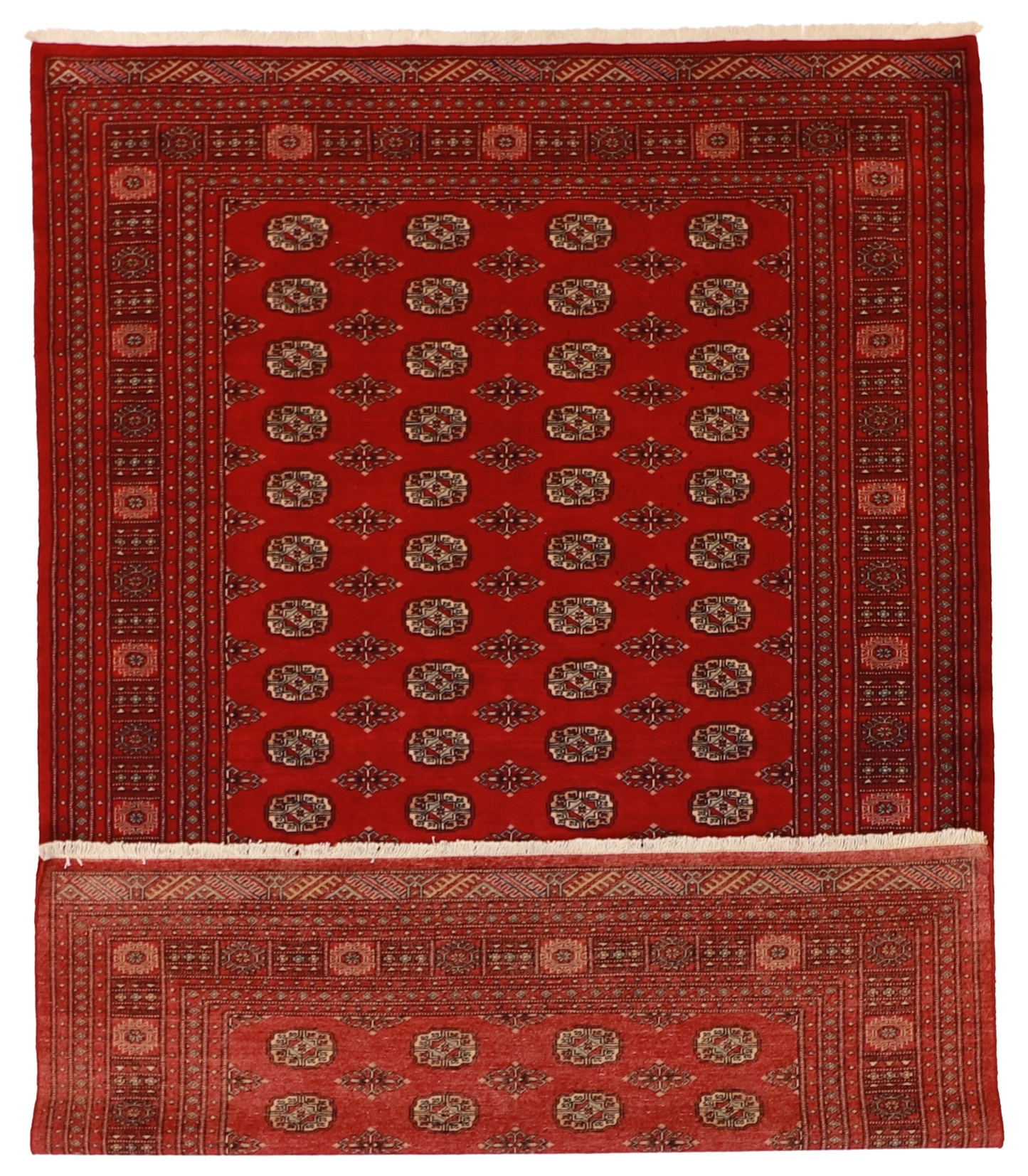 W 6.6 L 9.6 Bokhara 100% Wool Handmade All Over Design - 61263