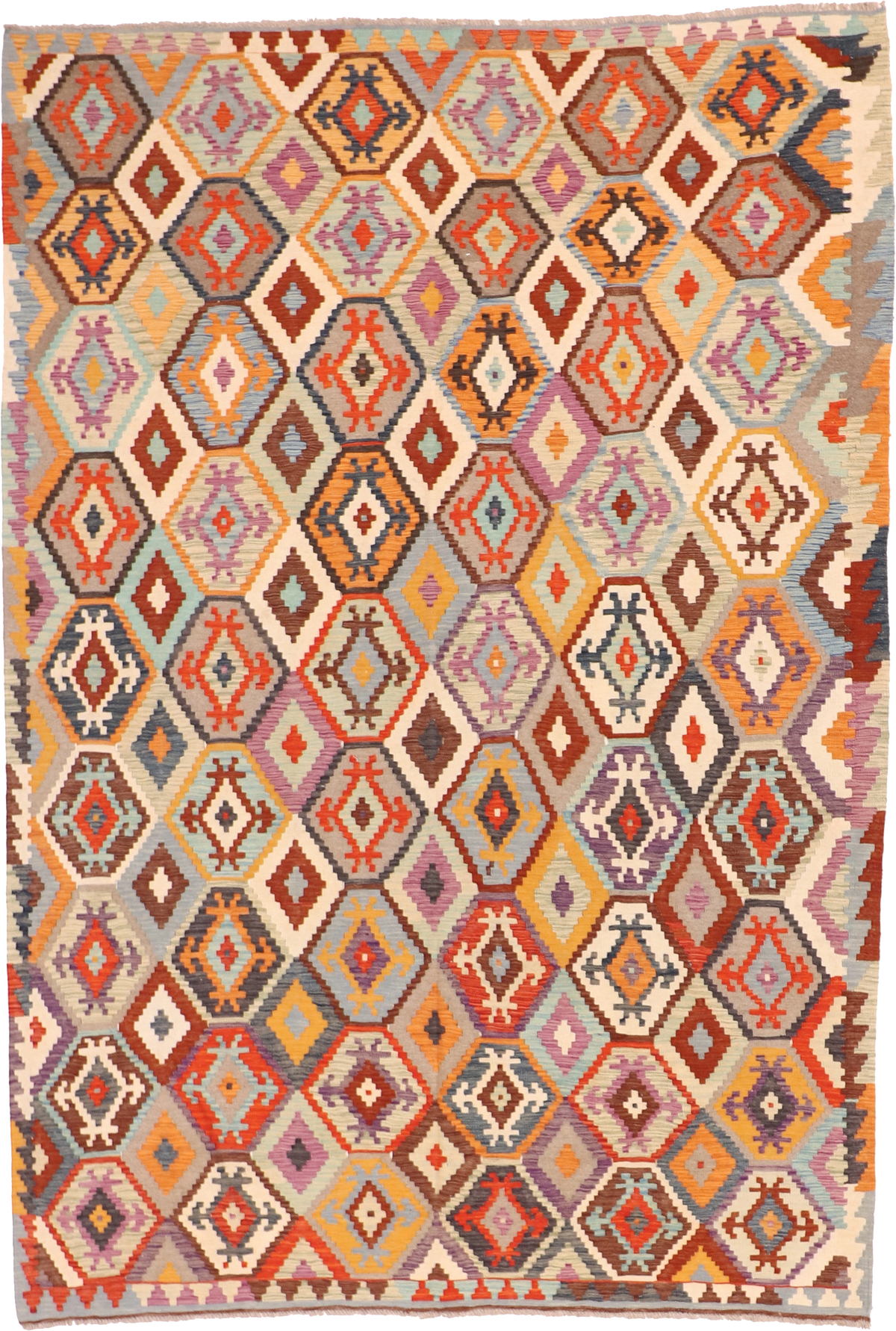W 6.8 L 9.9 Kilim 100% Wool Hand-Woven All-Over Design - 63734