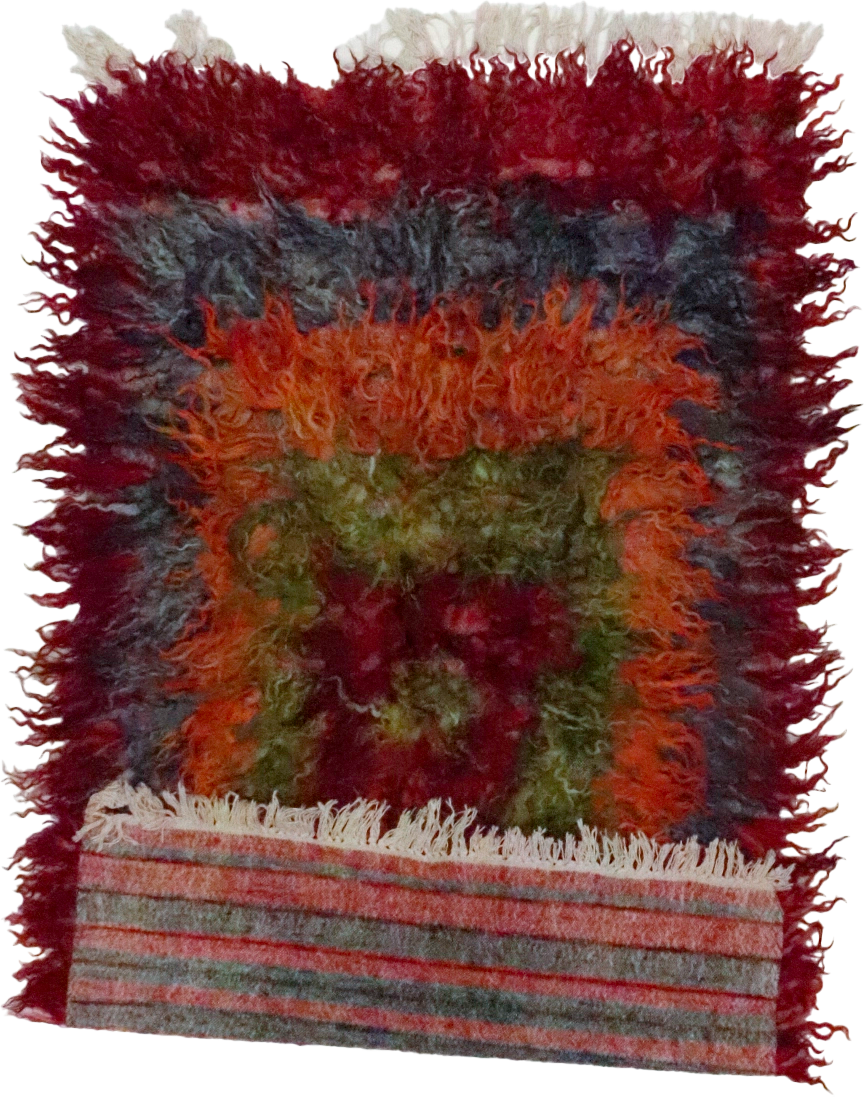 W 4.7 L 6 Tulu 100% Wool Hand-Woven All-Over Design - 65713